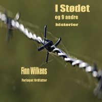 I Stødet og 9 andre historier (E-bog)