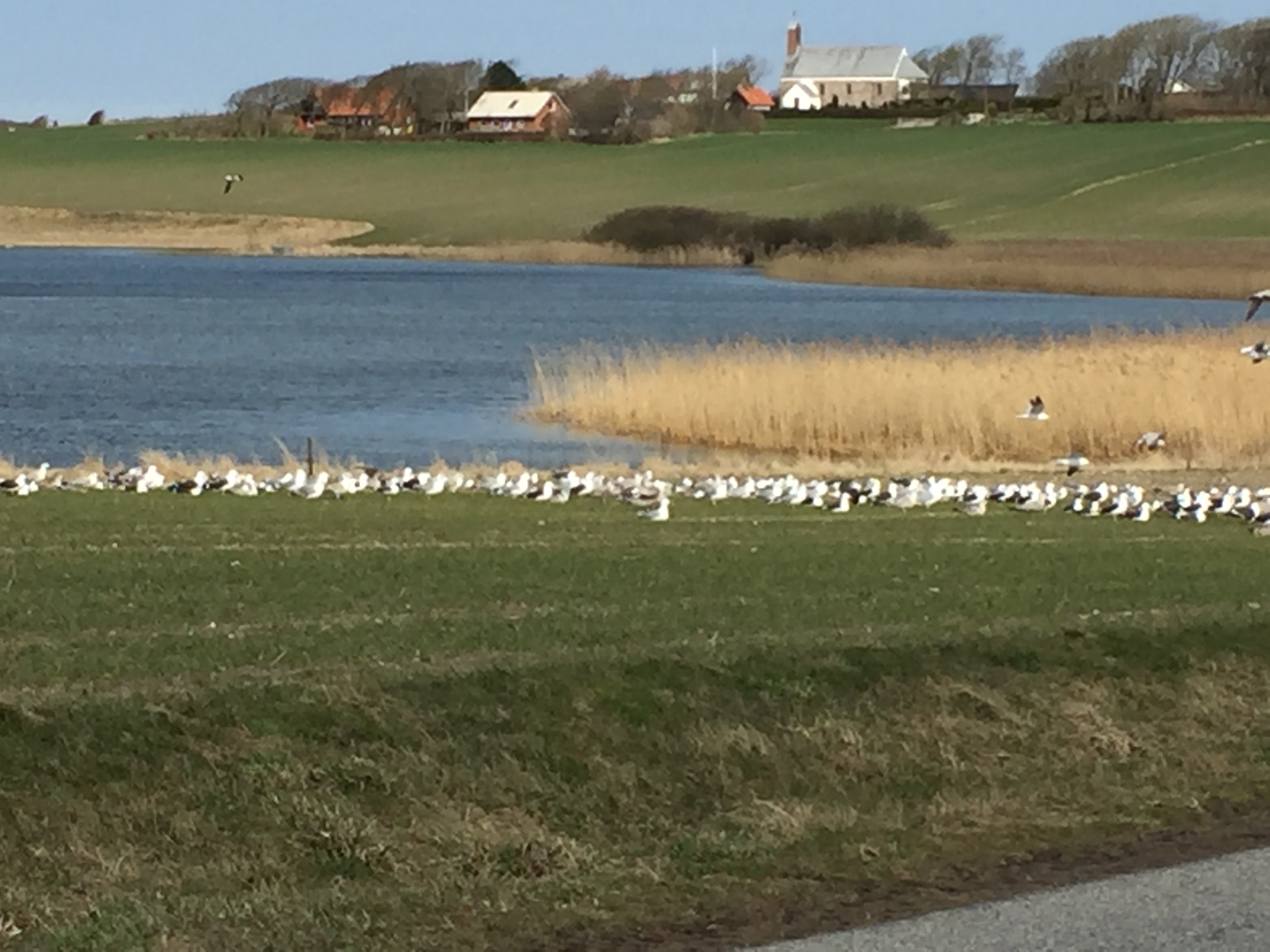 Gå fra Vesterhavet til Vandet Sø