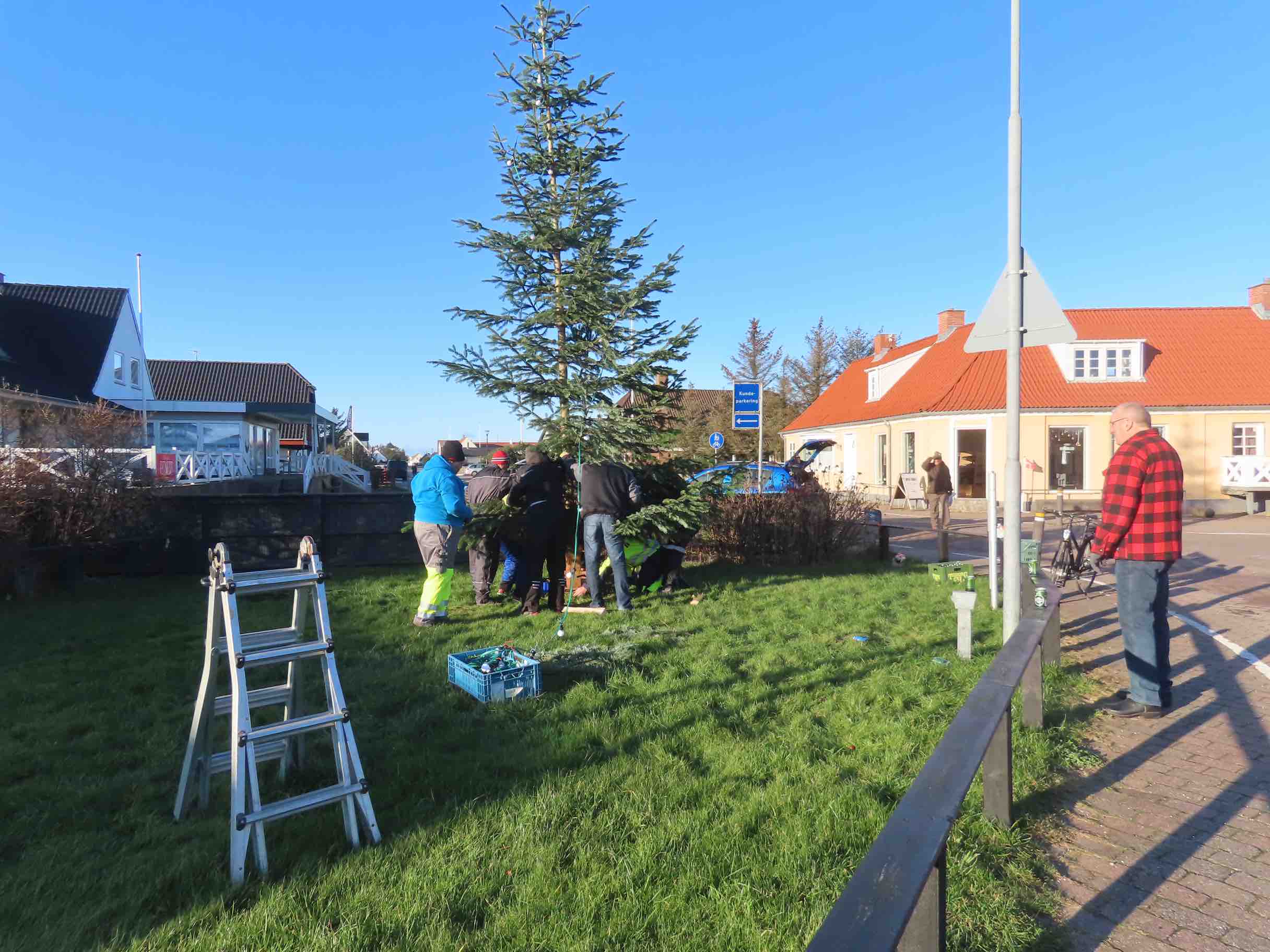 Et træ fældes et sted og rejses et andet sted