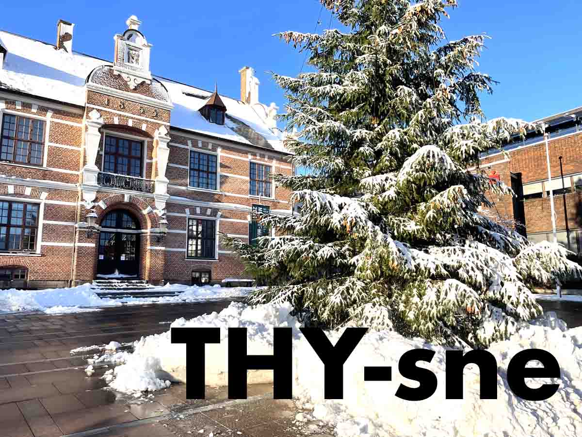 THY-sne den 1. december!