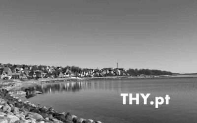 THY.pt har ændringer