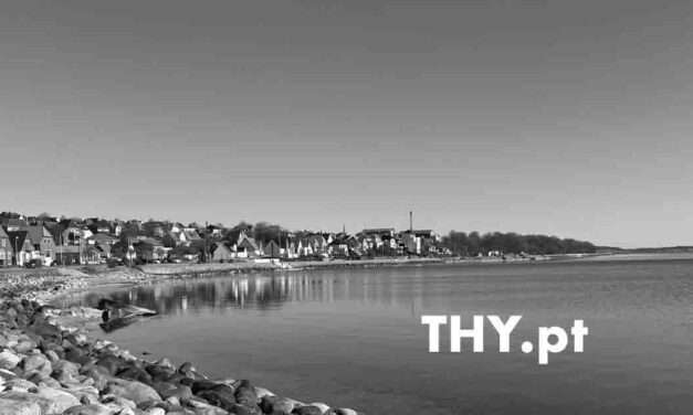 THY.pt har ændringer