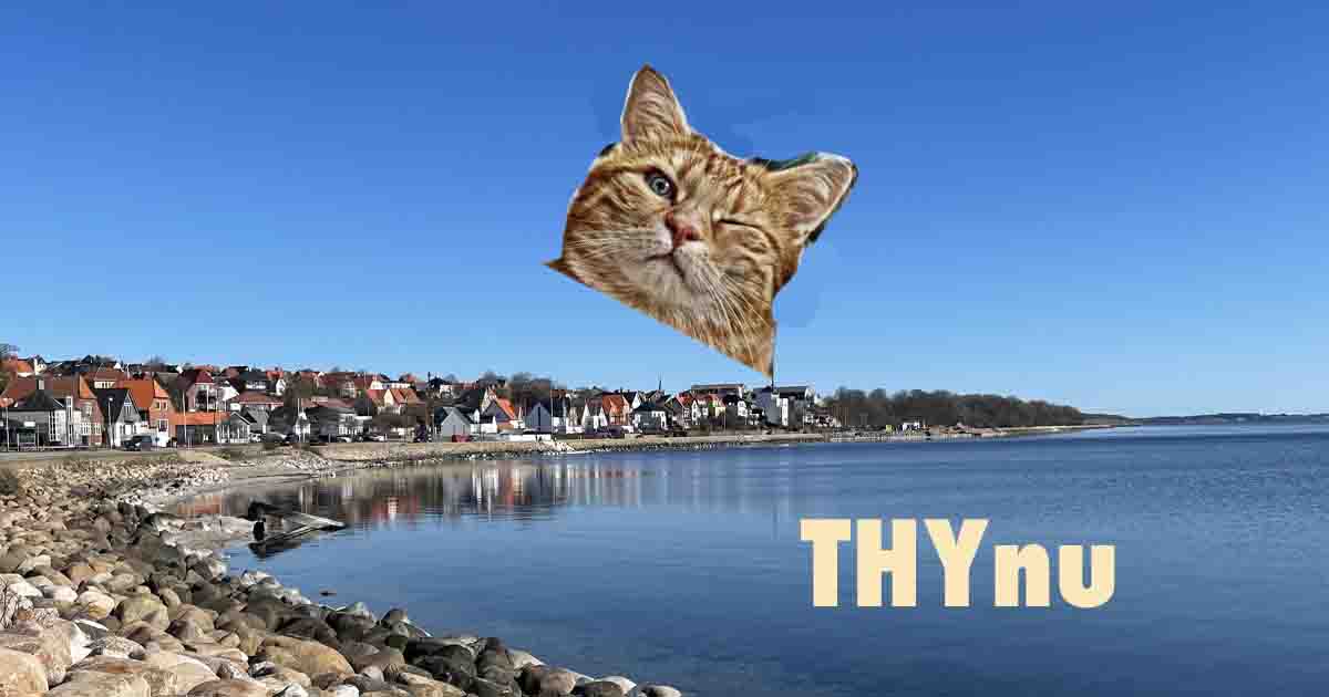 Har du hørt om Facebook-gruppen THYnu?