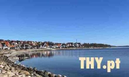 THY.pt er i forandringer!