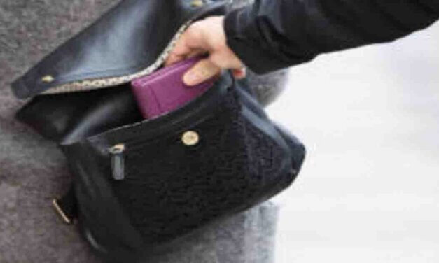 Ina Ravnkilde: Undskyld, fru tyv!