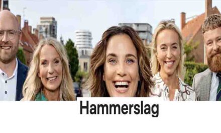 Hammerslag med et problem