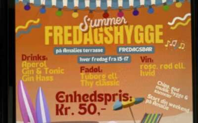 Hvad er der i vejen med ord på dansk?