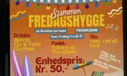 Hvad er der i vejen med ord på dansk?