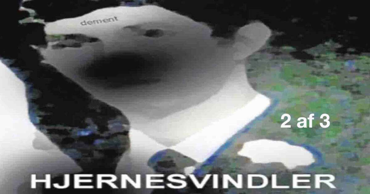 Hjernesvindler (Del 2 af 3)