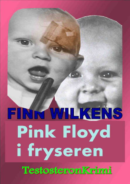 Pink Floyd i Fryseren (E-bog)
